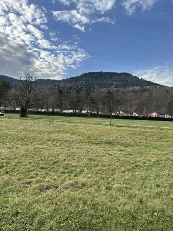 IMG_7709 - Terrain à SAULXURES-SUR-MOSELOTTE