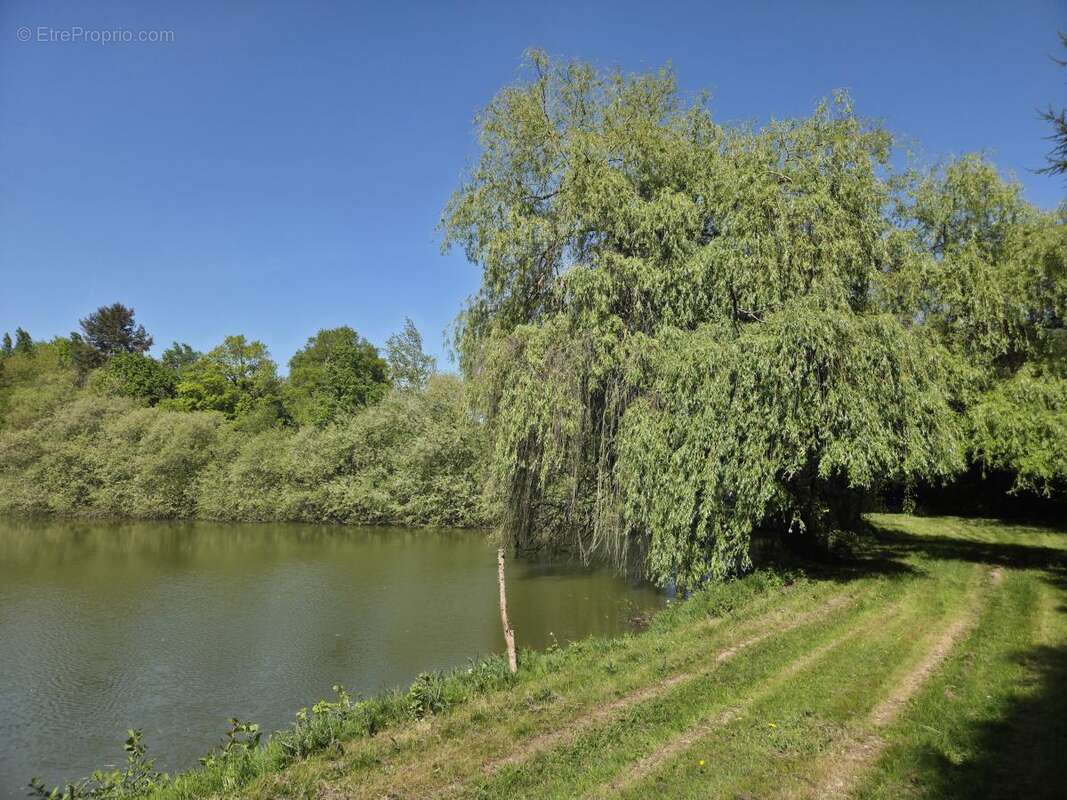 Terrain à LOIGNE-SUR-MAYENNE