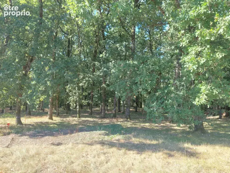 Terrain 750 m² à vendre à Pechbonnieu (31140) - photo 5