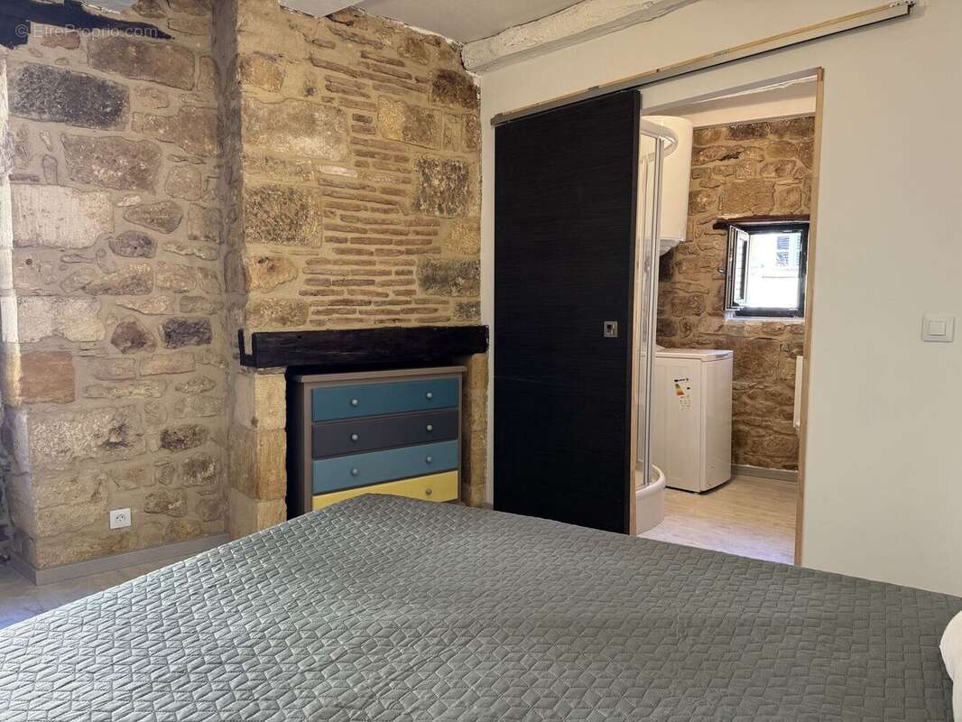 IMG1956 - Maison à SAINT-CYPRIEN