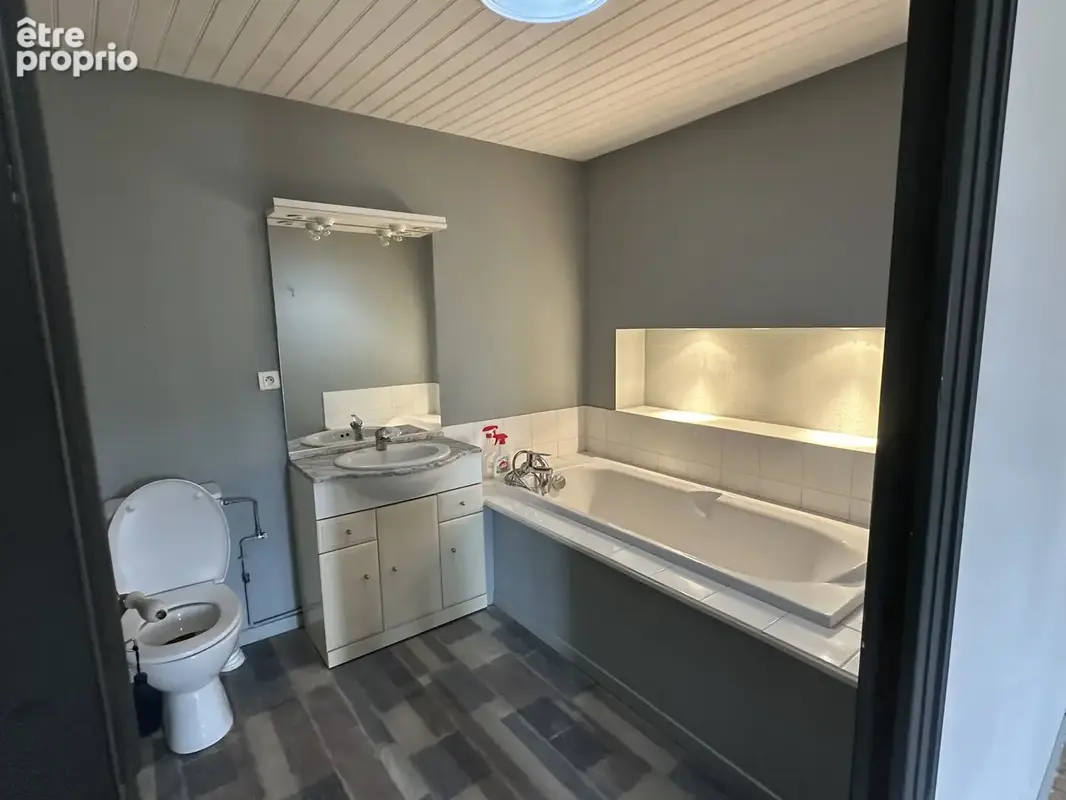 Mons, 13km de Cognac, demeure de charme avec 2 gîtes et piscine. - photo 16