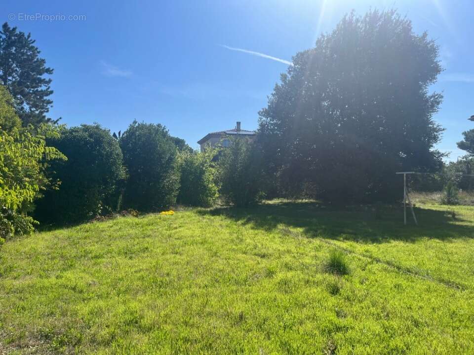 Terrain à MONTELIMAR