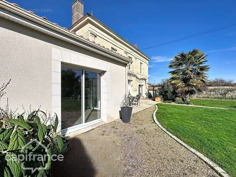 Maison à MONTREUIL-BELLAY