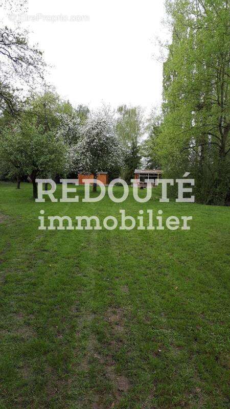 À vendre – Magnifique terrain arboré avec étang – 8 100 m² – Barby ( A 5 mins de RETHEL et à 30 mins de REIMS) - photo 2