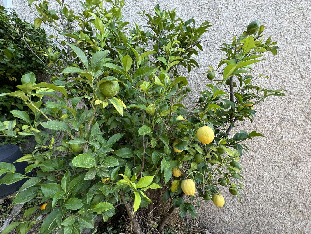 Maison à LES ADRETS-DE-L'ESTEREL