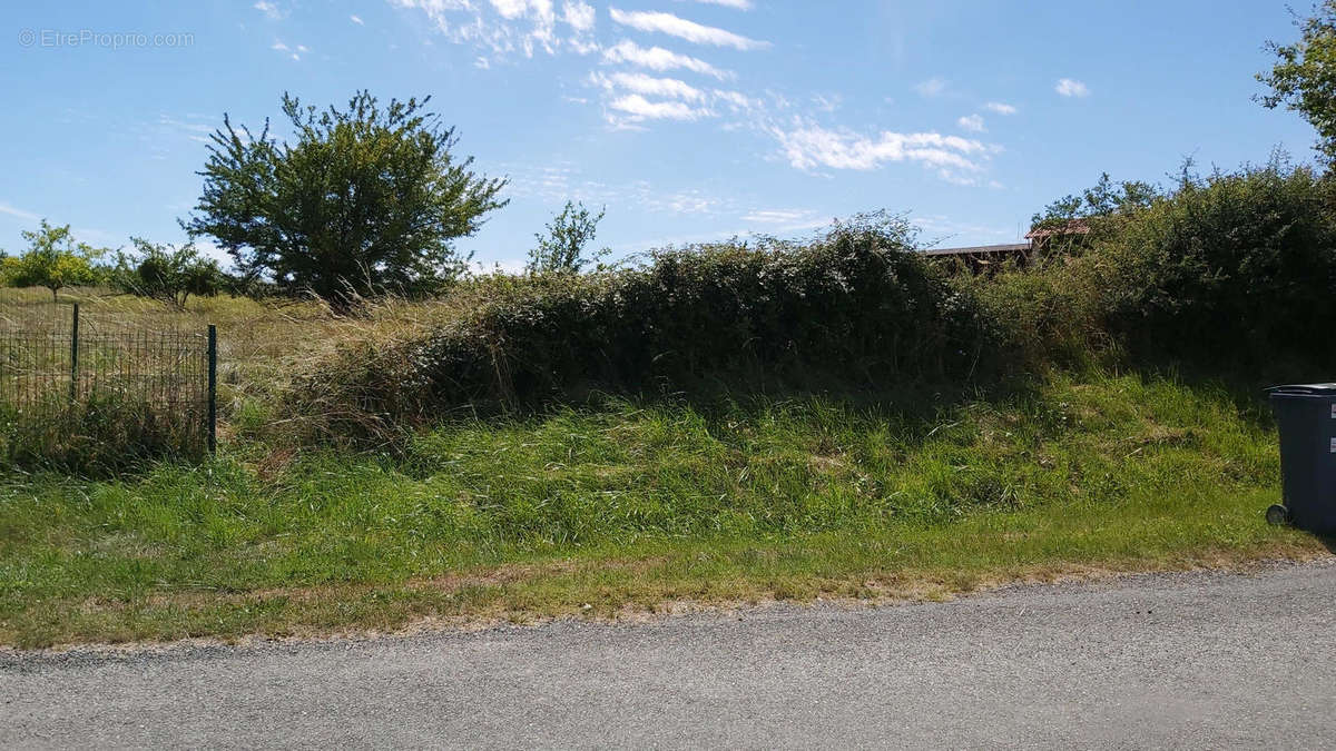20200707_155443 - Terrain à LUSSAS-ET-NONTRONNEAU