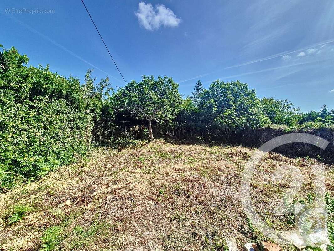 Maison à MONTESQUIEU-LAURAGAIS