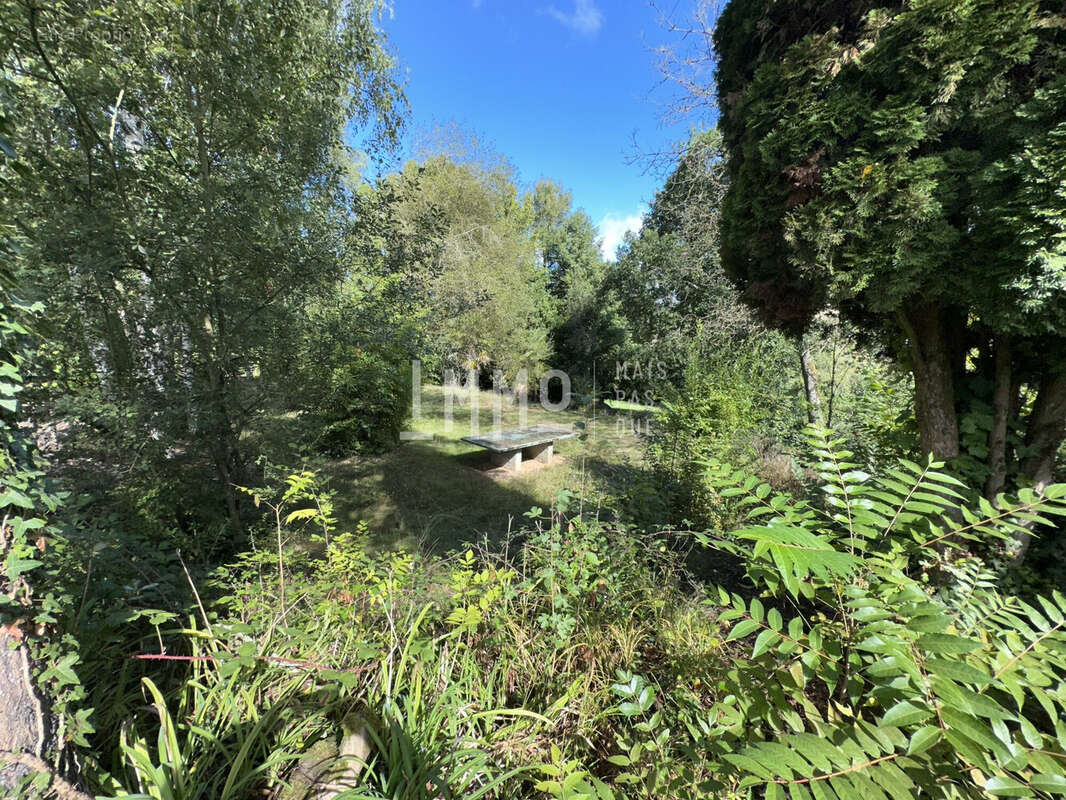 Terrain à MONTREUIL-LE-HENRI