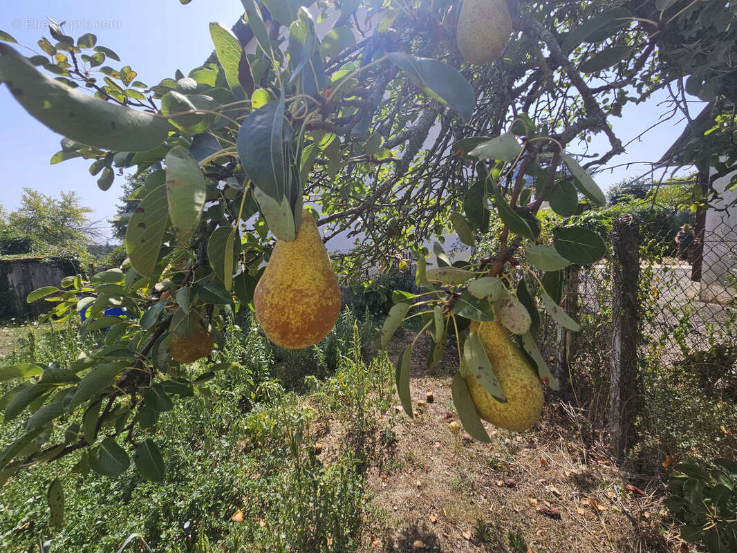 Maison à SAINT-LEONARD-DE-NOBLAT
