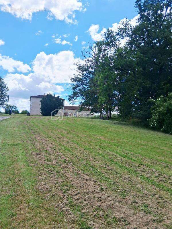 Maison de caractère de 130 m² avec hangar de 300 m² – Terrain de 8 391 m² – Dolmayrac - photo 8