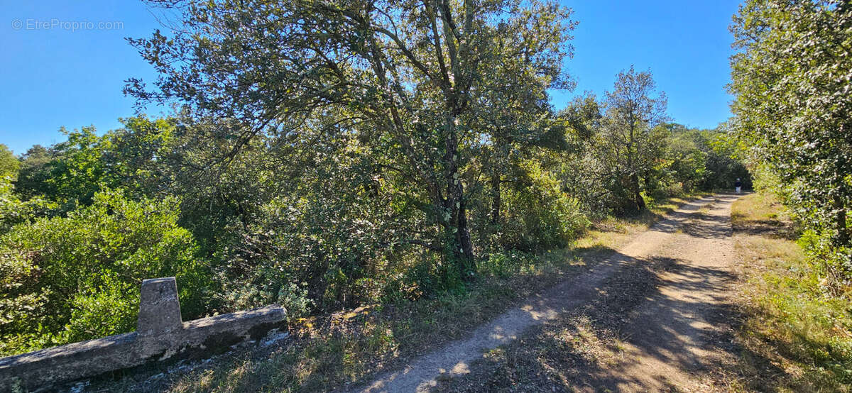 Terrain à LA CAUNETTE