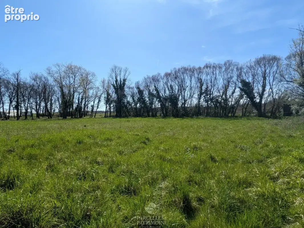 Exclusivité Terrain viabilisé de 3 717m² - photo 4