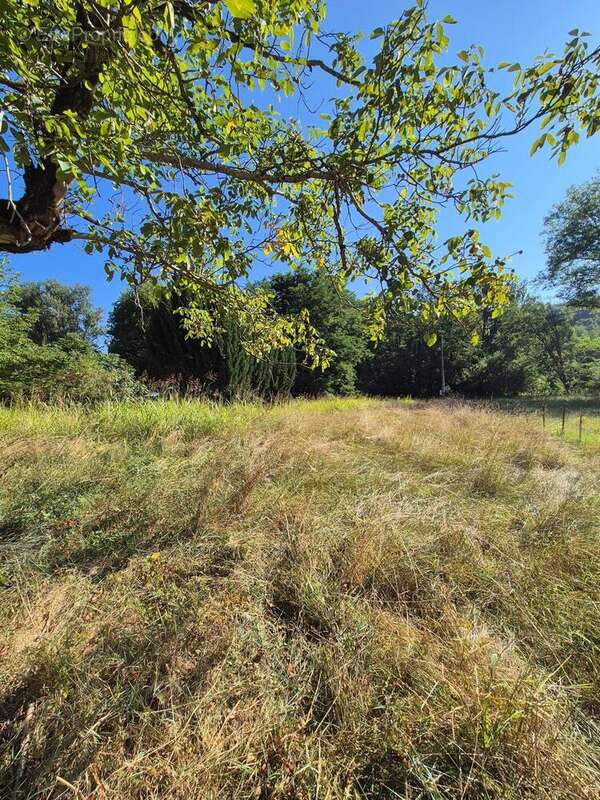 Photo 6 - Maison à SAINT-JUERY