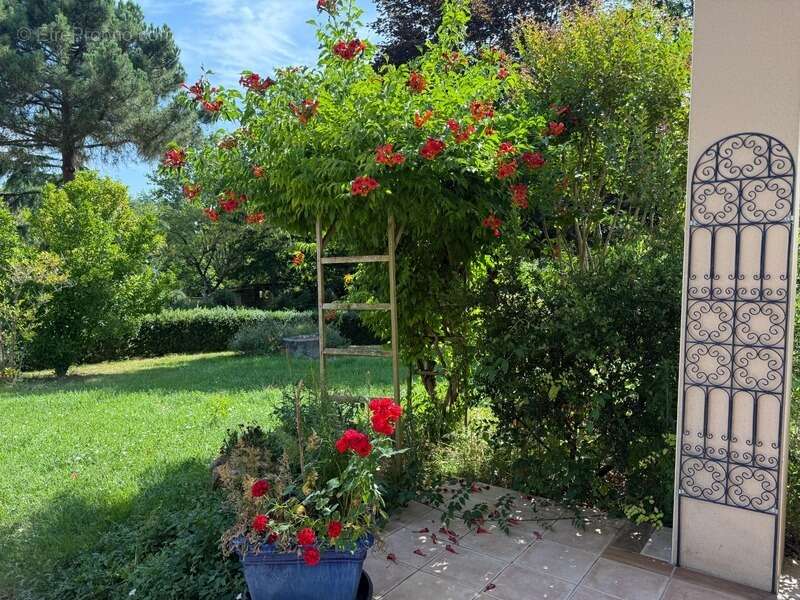 Maison t6 240 m2 - photo 6