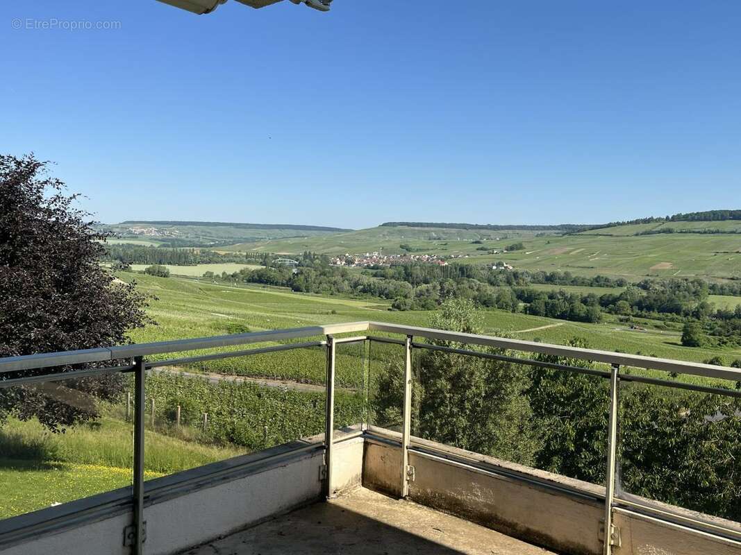 Maison 295 m² à Oeuilly  - photo 5