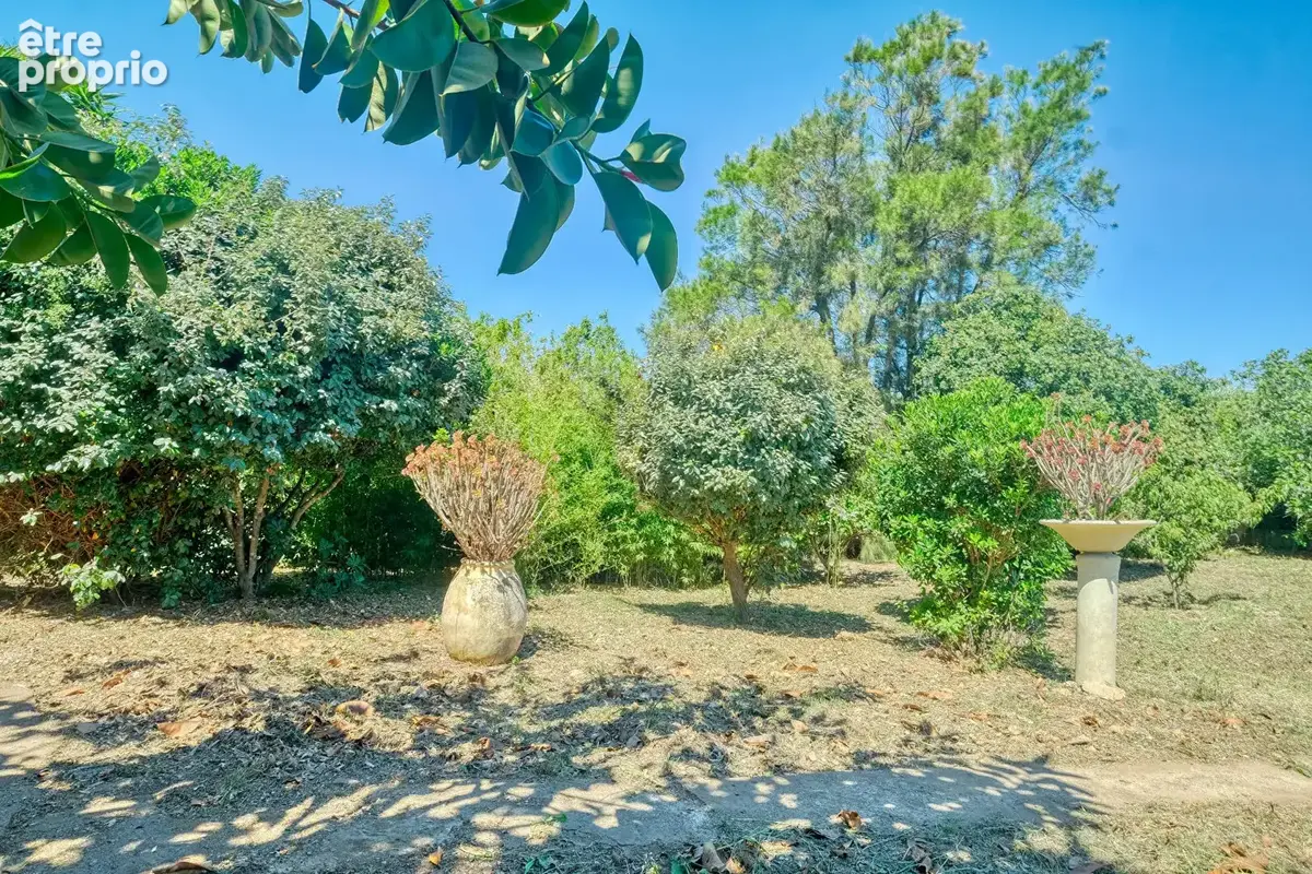 Maison 186m² à rogliano - photo 6