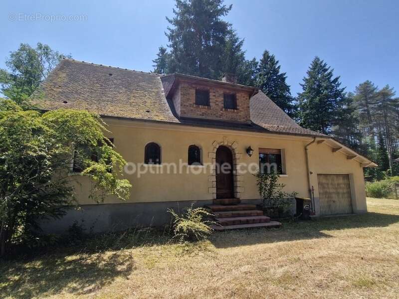 Maison avec grand terrain arboré à ARDON (45) - photo 8