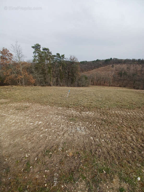 Terrain à TRELISSAC