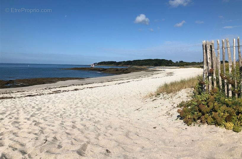 Terrain à SARZEAU