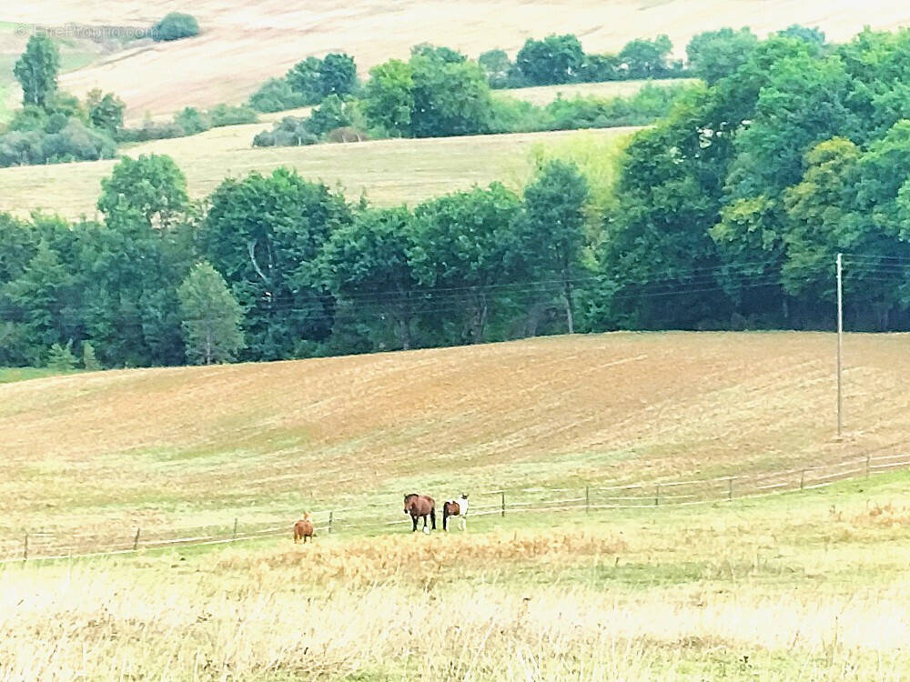 Terrain à MARGOUET-MEYMES