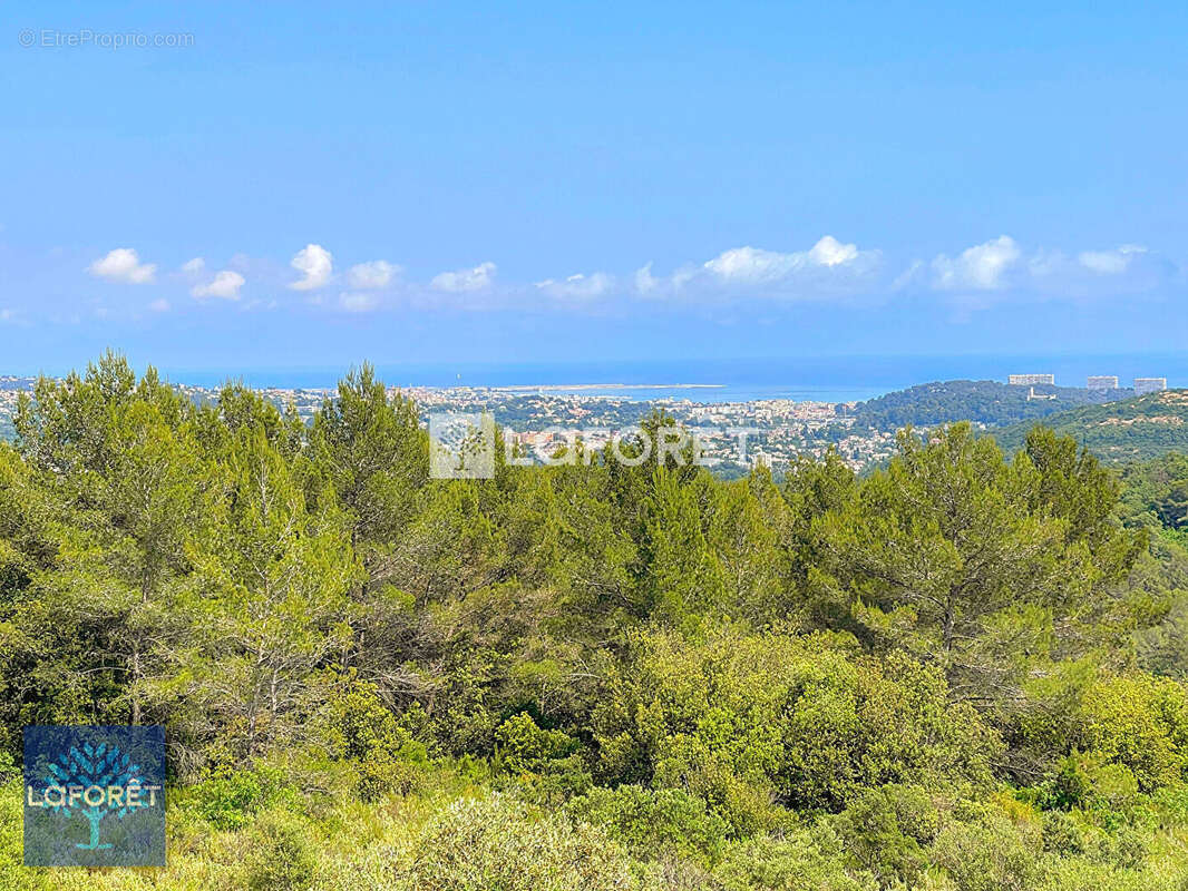 Maison à ROQUEFORT-LES-PINS
