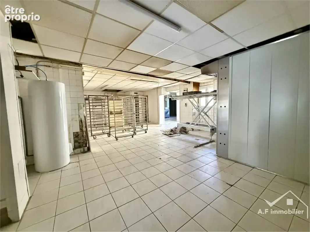 Commerce 312 m² à vendre à Fontenilles (31470) - photo 3