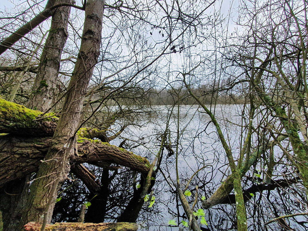 Terrain à SAINT-QUENTIN