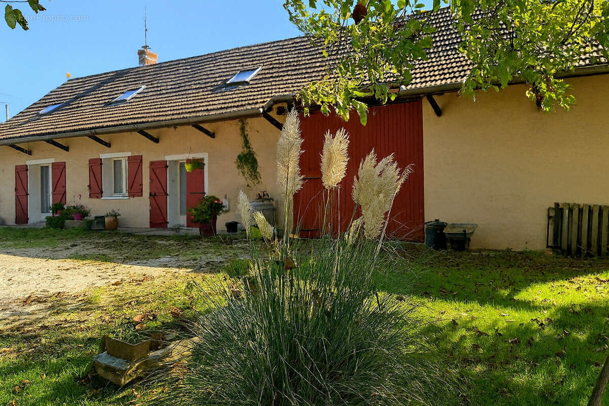 Maison à L'ABERGEMENT-SAINTE-COLOMBE