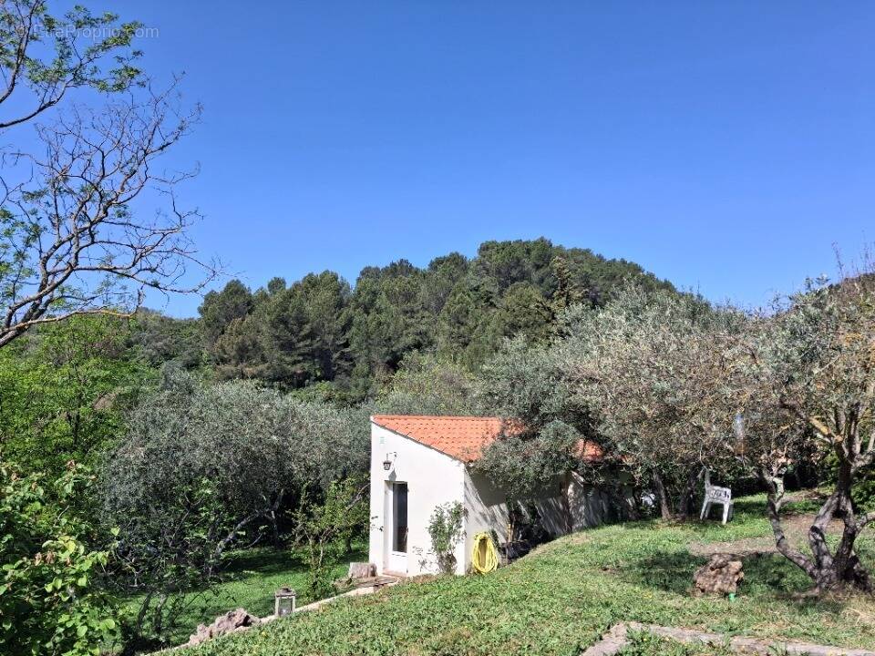 Terrain à SIGNES