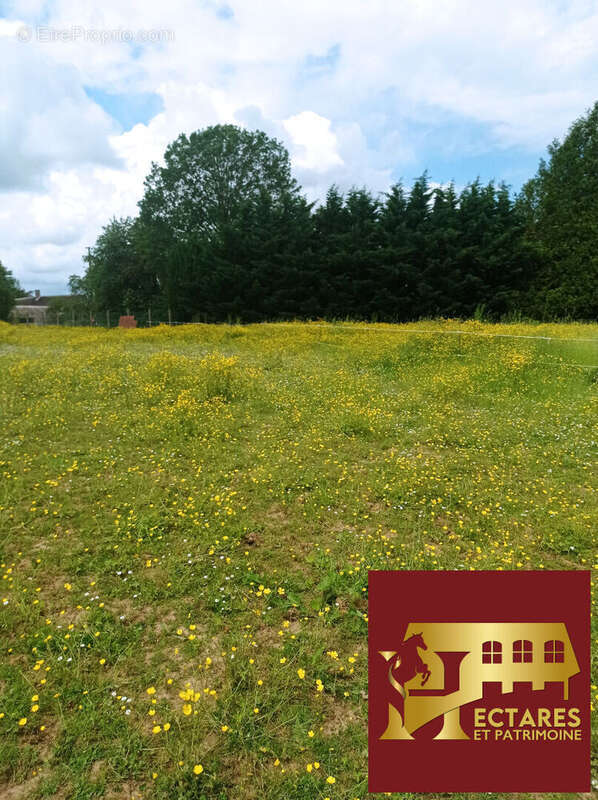 Maison avec boxes et 1.2 ha  à 45 minutes Fontainebleau - photo 7