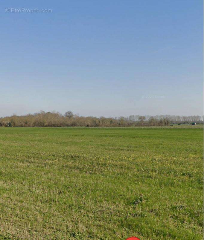 À vendre – Terrain constructible de 335 m² à Angliers (17540) - photo 2