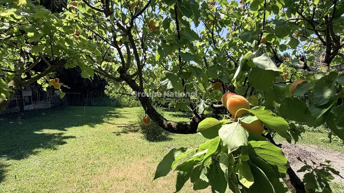 Courthezon - ensemble immobilier de 385 m² en campagne - photo 10