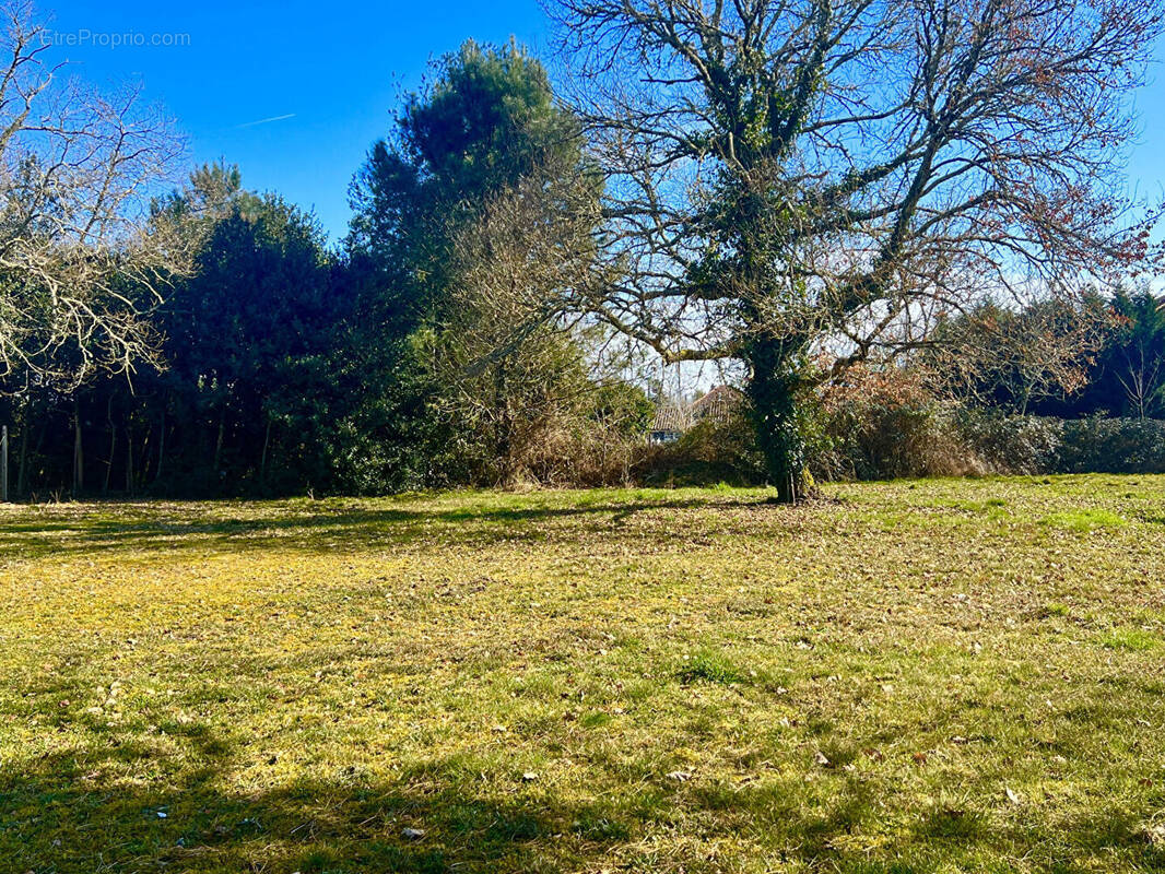 Terrain à LE BARP