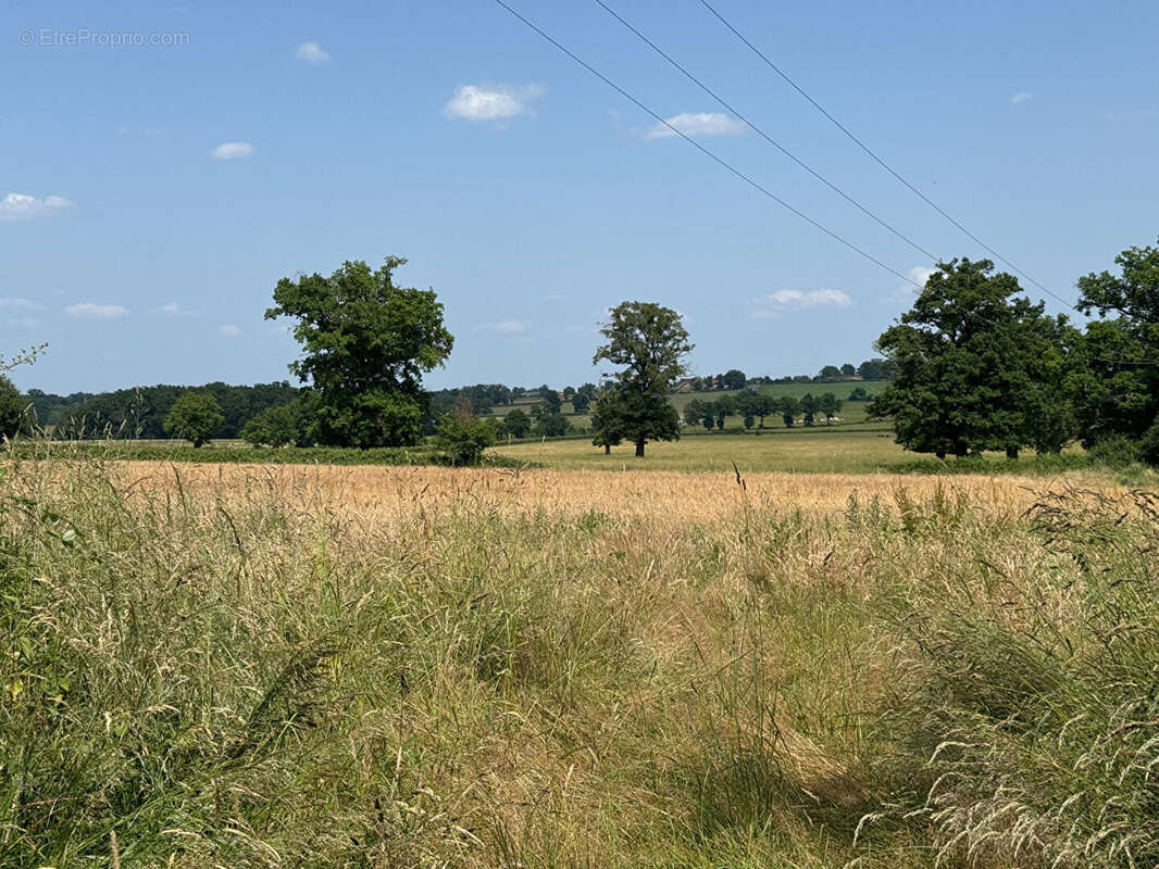 Maison à BOURBON-L'ARCHAMBAULT