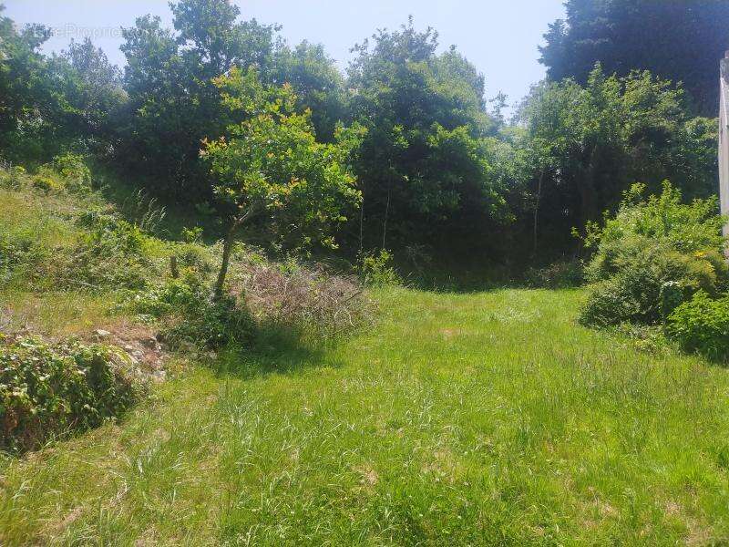 Terrain à PONT-L'ABBE