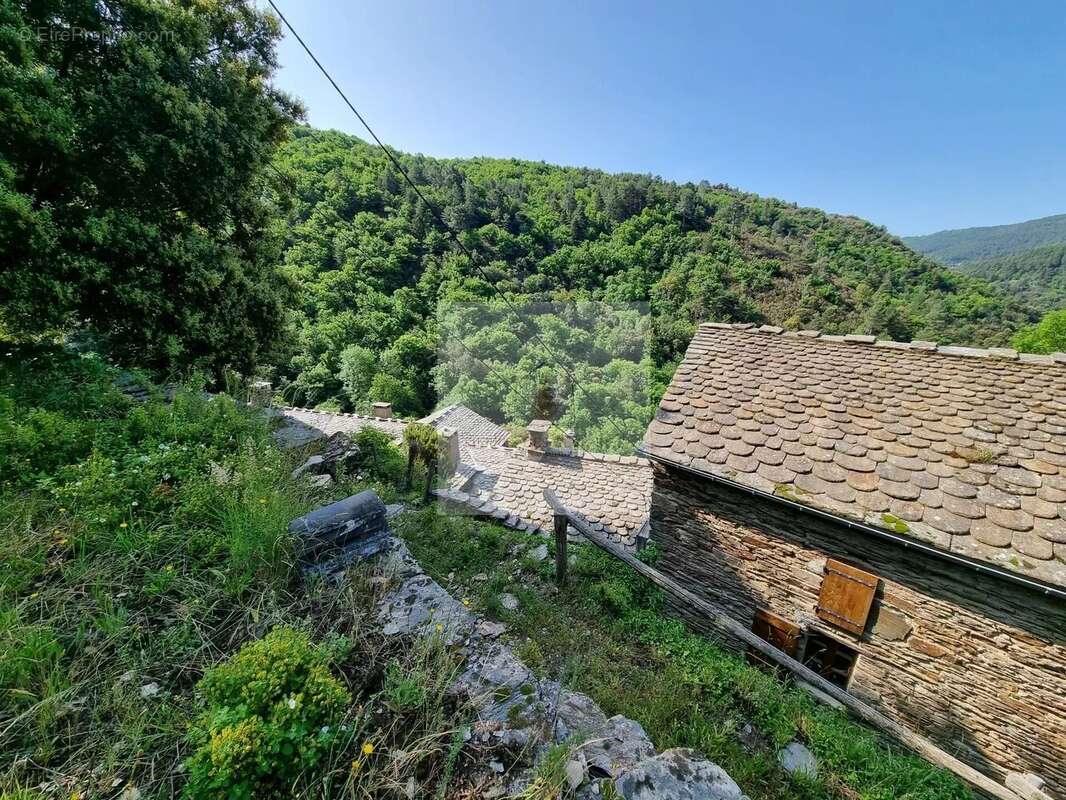 Maison à LE COLLET-DE-DEZE