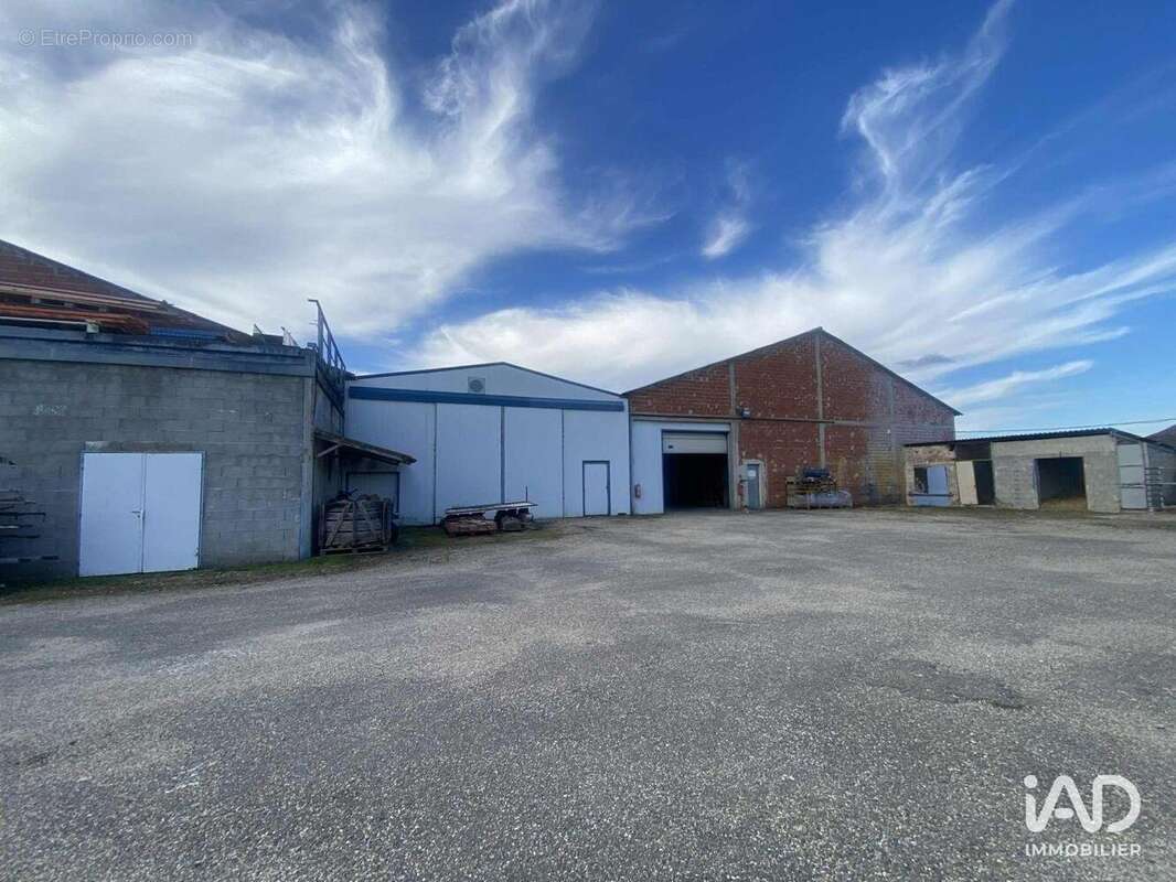 Photo 6 - Commerce à NERAC