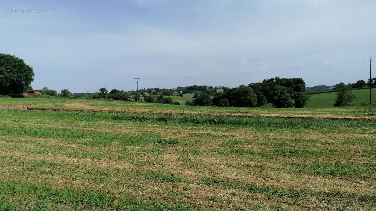 Terrain à MAYRAN