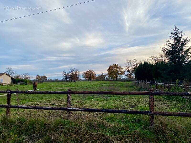 Terrain à VITRY-EN-CHAROLLAIS