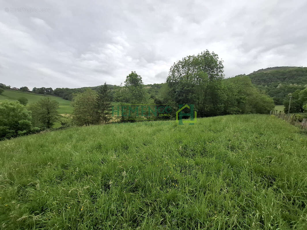 Terrain à SAINT-JEAN-LE-VIEUX