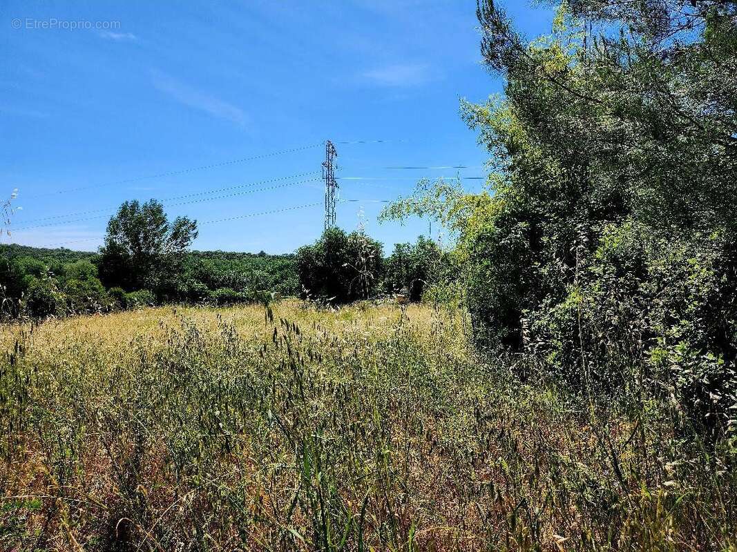 Terrain à CASSAGNOLES