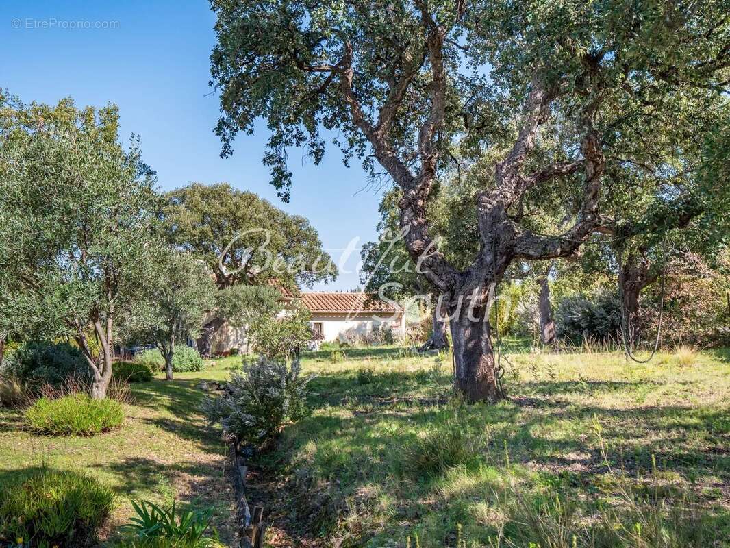 Maison à MONTESQUIEU-DES-ALBERES