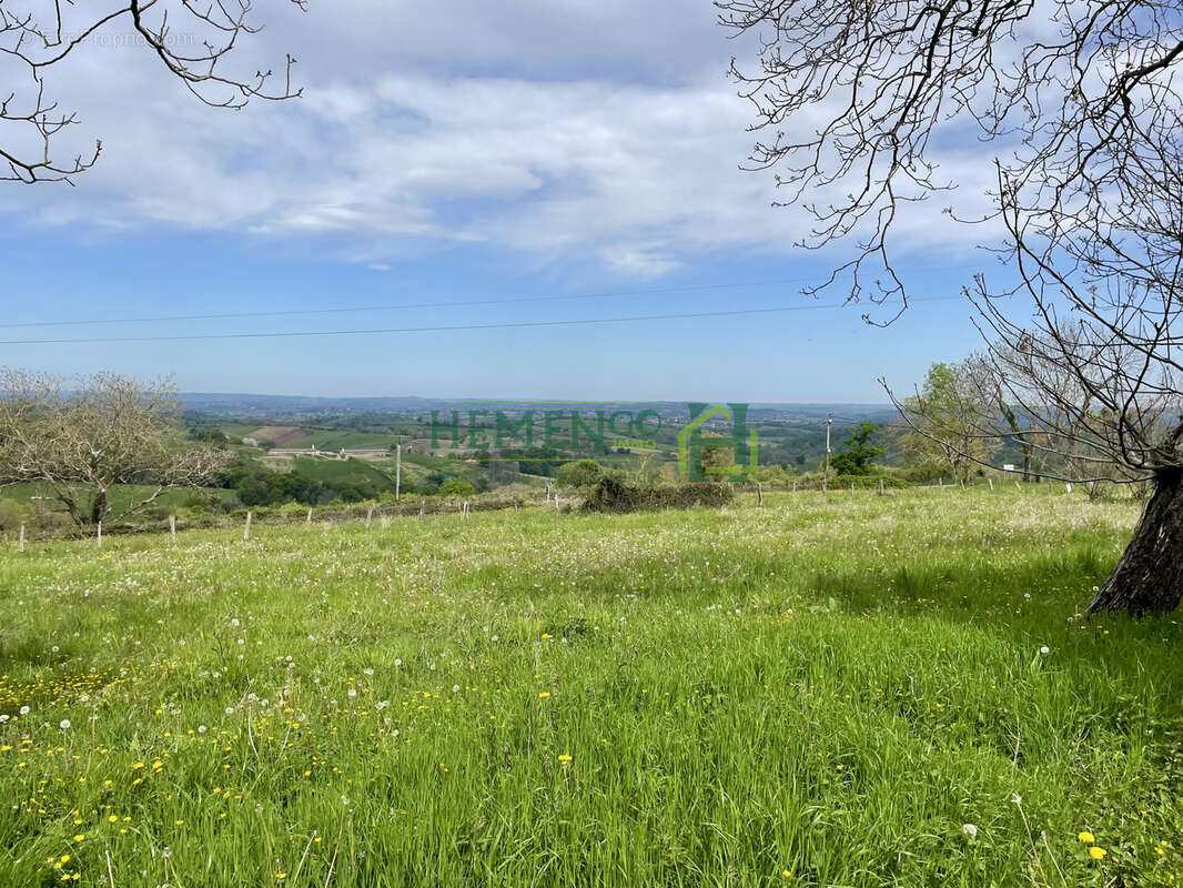 Authenticité, charme et potentiel sur un vaste domaine de plus de 6 hectares - photo 12