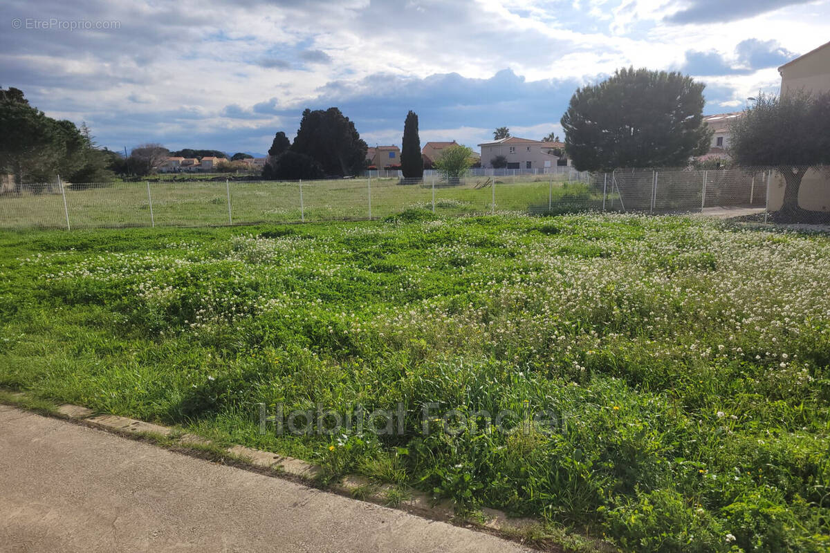 Terrain à SAINT-LAURENT-DE-LA-SALANQUE