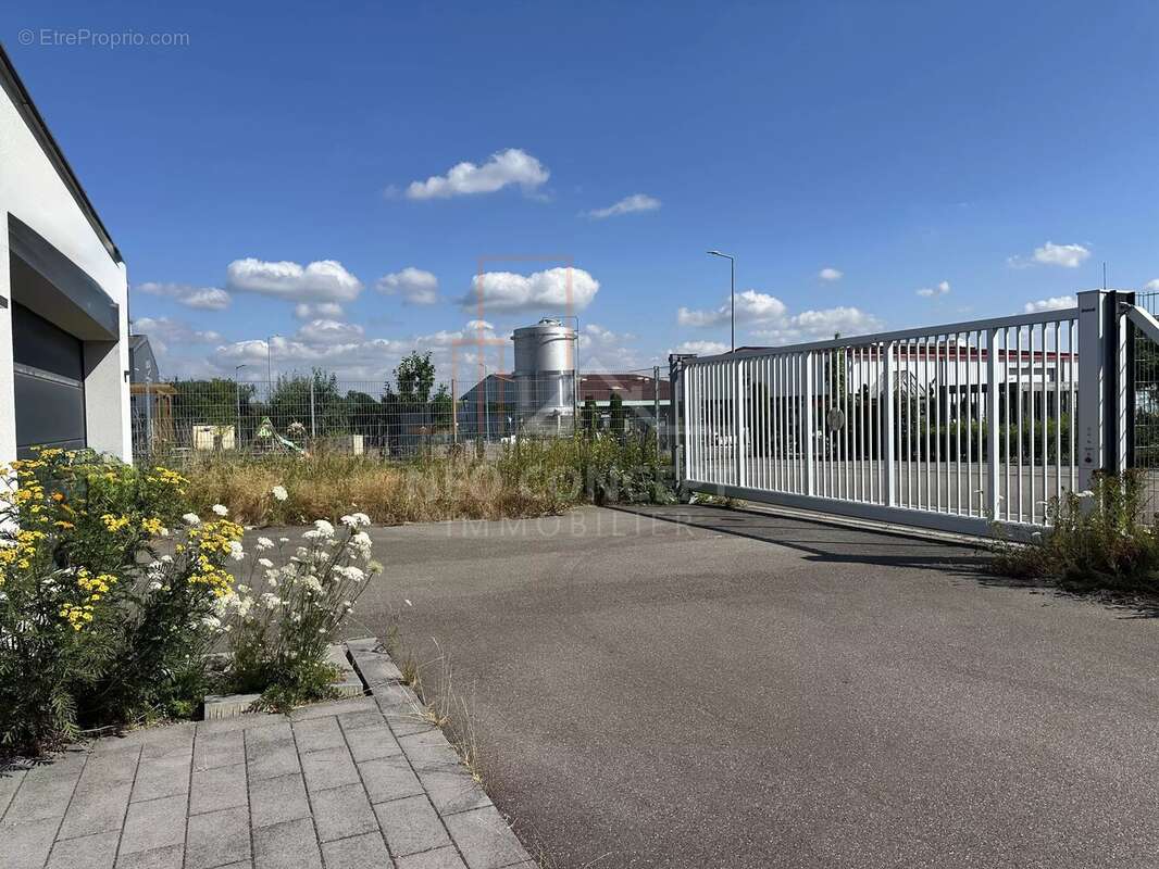 Maison de plain-pied & local professionnel - parcelle 1560 m² - photo 10