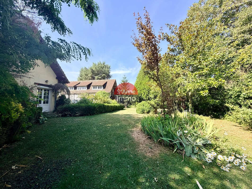 Mericourt l'abbe - maison - 168 m2 - 4 chambres - jardin - garage - dependance - photo 16