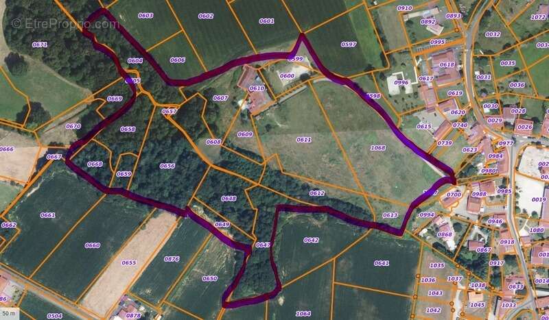Propriété de caractère – 6,7 hectares – dépendances – ossages - photo 30
