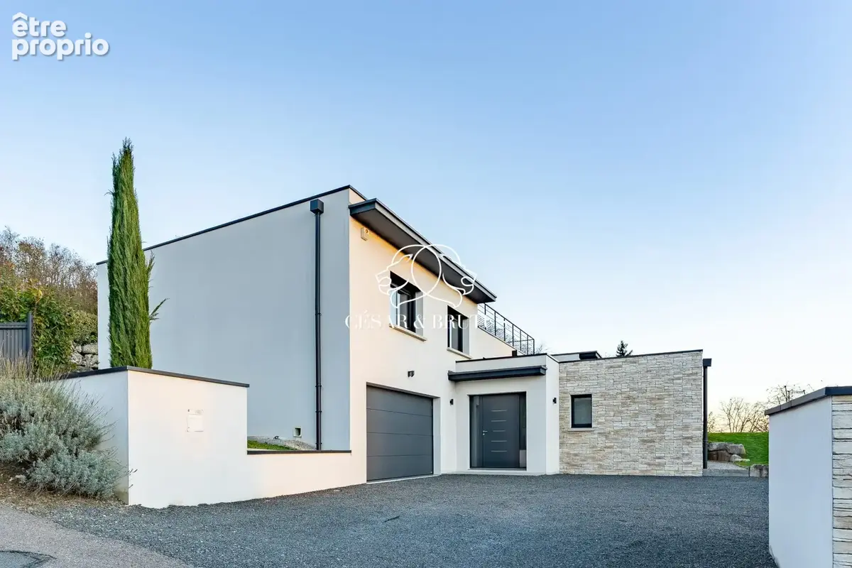Maison 7 pièces 185 m² à vendre à Reyrieux (01600) - photo 2