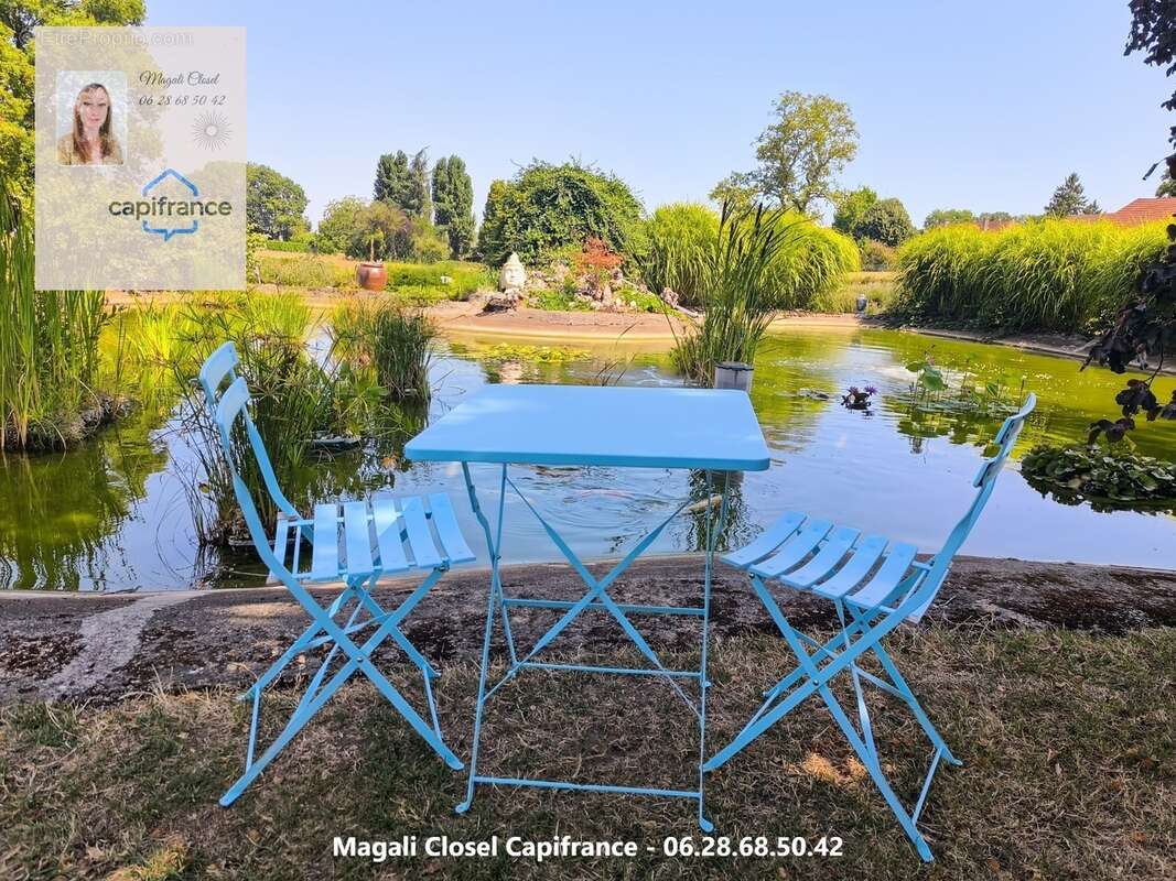 Maison à vendre 8 pièces avec Bassin et piscine. Pierre de Bresse - photo 8