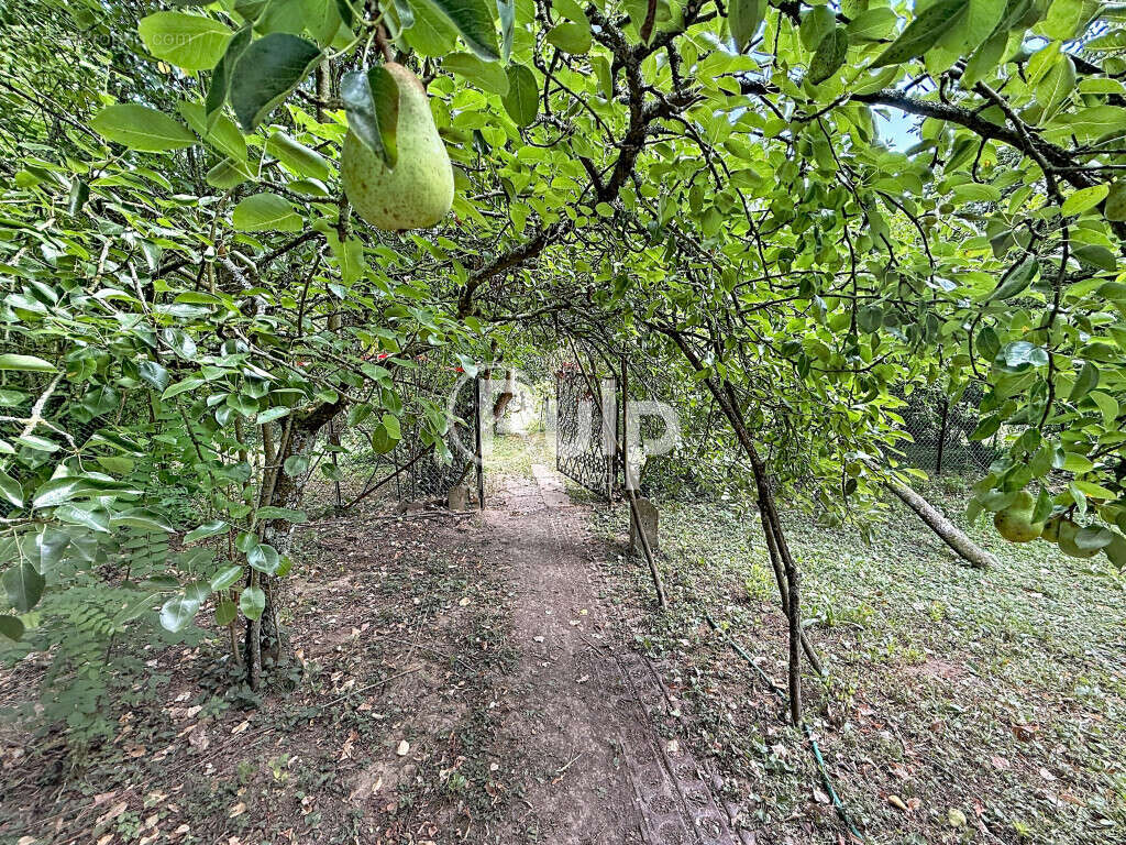 Maison de campagne - photo 22